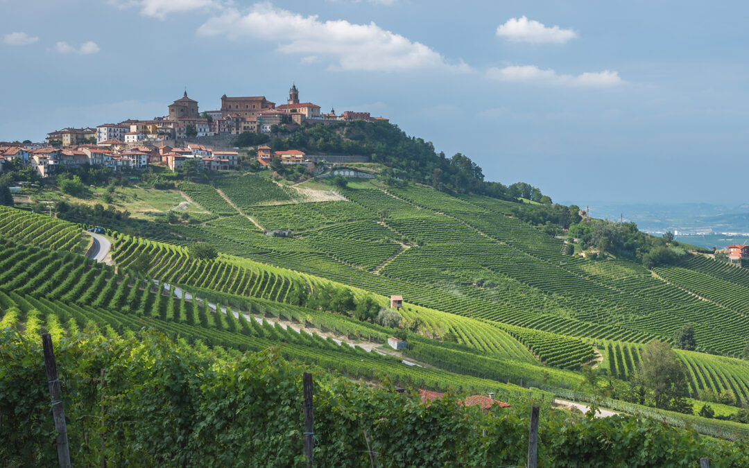 Vinsmaking: Barolo – Vinmarker og årganger