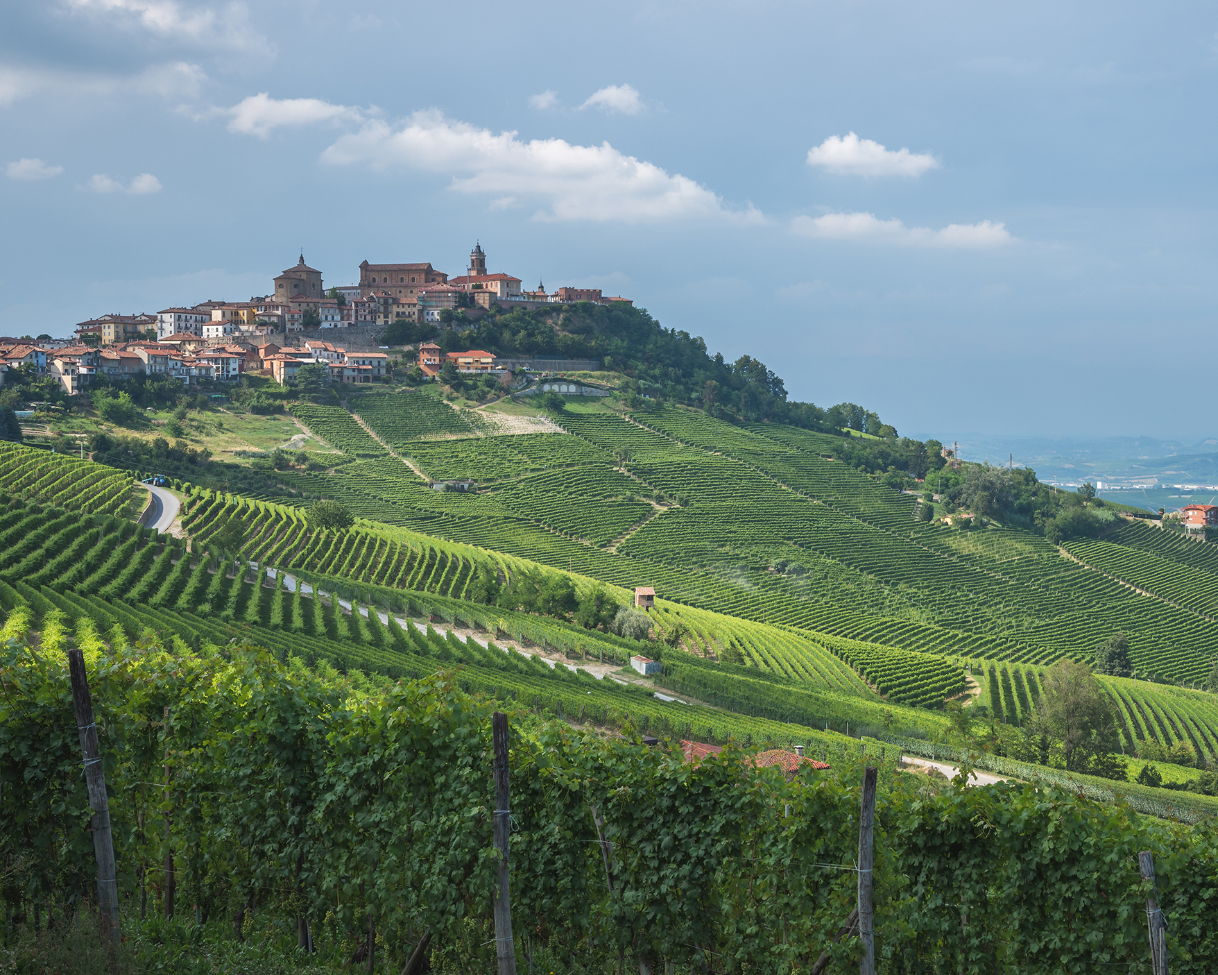 Vinsmaking - Barolo