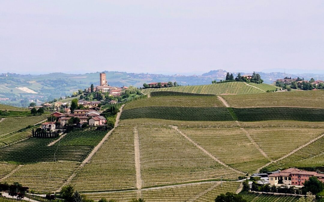 UTSOLGT – Vinsmaking med Gjermund Myklebust – Piemonte