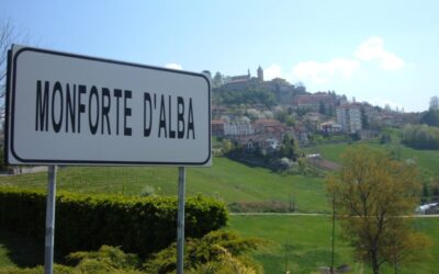 Wine tasting on 27 February: Travel letter from Barolo