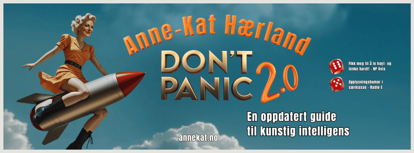 Plakat Anne-KAt